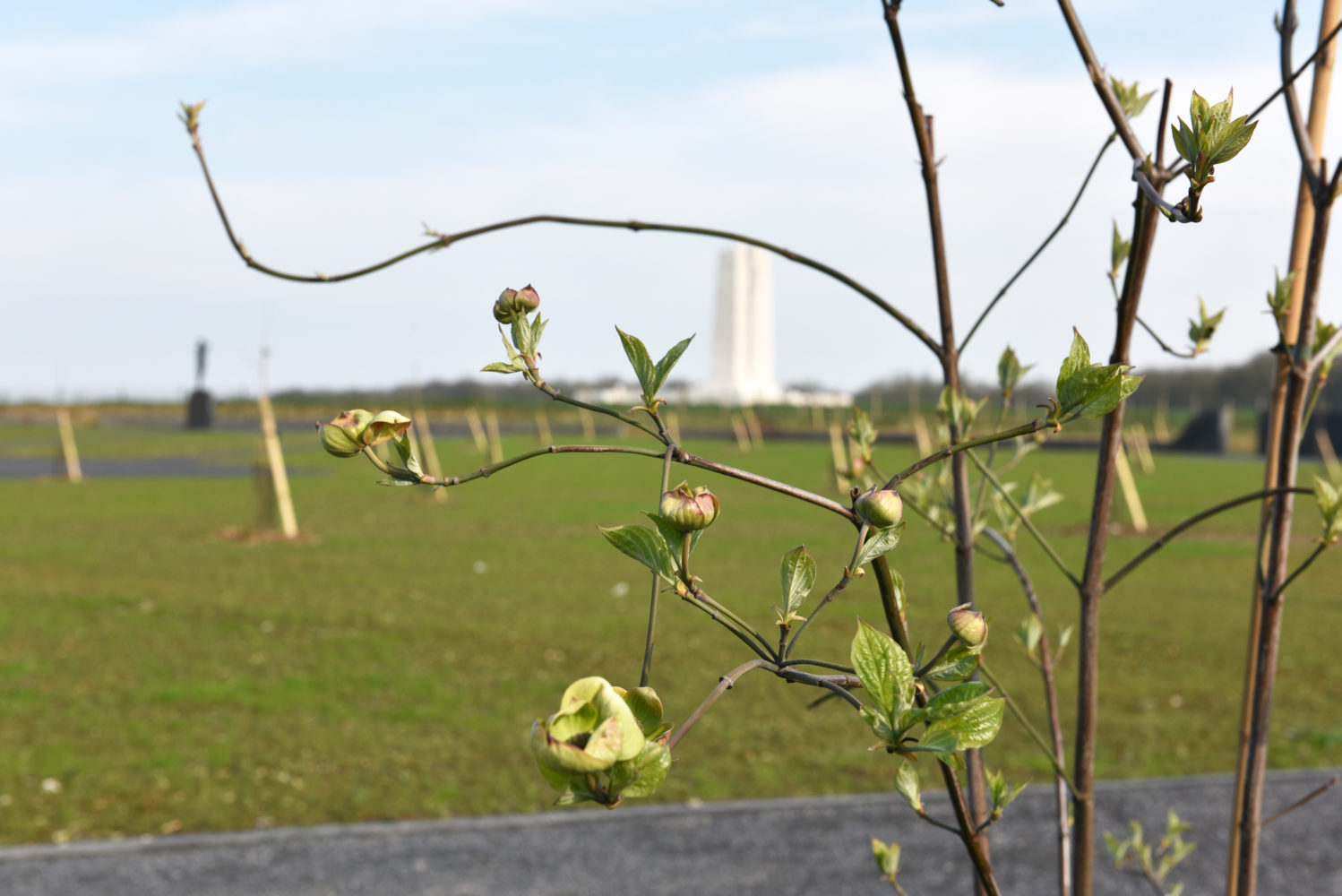 The Vimy Foundation Centennial Park